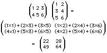 matematica,fisica,matematici,geometria,algebra,topologia,analisi,matrici,infinito,probabilit,calcolo combinatorio,logica,aritmetica,derive,paradossi,serie infinite