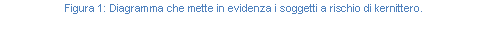Text Box: Figura 24: Diagramma che mette in evidenza i soggetti a rischio di kernittero.