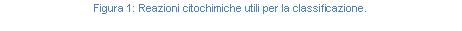Text Box: Figura 116: Reazioni citochimiche utili per la classificazione.