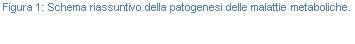 Text Box: Figura 26: Schema riassuntivo della patogenesi delle malattie metaboliche.