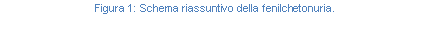 Text Box: Figura 27: Schema riassuntivo della fenilchetonuria.