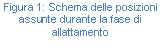 Text Box: Figura 5: Schema delle posizioni assunte durante la fase di allattamento