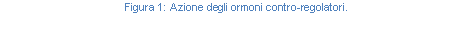 Text Box: Figura 154: Azione degli ormoni contro-regolatori.