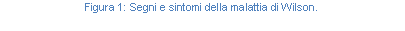 Text Box: Figura 50: Segni e sintomi della malattia di Wilson.