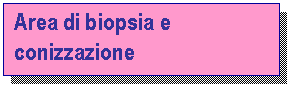 Text Box: Area di biopsia e conizzazione