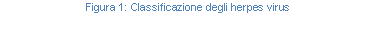 Text Box: Figura 157: Classificazione degli herpes virus
