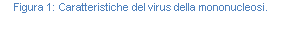 Text Box: Figura 161: Caratteristiche del virus della mononucleosi.