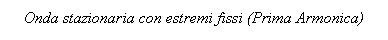 Text Box: Onda stazionaria con estremi fissi (Prima Armonica)