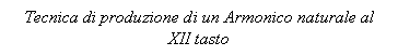 Text Box: Tecnica di produzione di un Armonico naturale al XII tasto