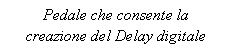 Text Box: Pedale che consente la creazione del Delay digitale