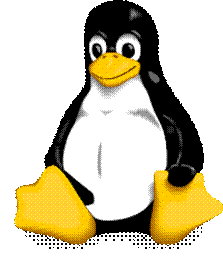 C:UsersRiccardoDesktop200px-Tux_svg.png