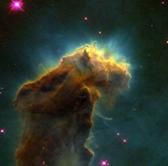 Stelle in formazione in una nebulosa