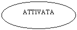Oval: ATTIVATA
