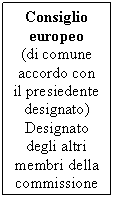 Text Box: Consiglio europeo
(di comune accordo con il presiedente designato) Designato degli altri membri della commissione
