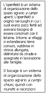 Text Box: L'openfield  un sistema di organizzazione dello spazio agrario a campi aperti. L'openfield si origin nei luoghi in cui i suoli erano poco fertili ed avevano bisogno di essere concimati con il letame. Intorno ai villaggi si estendevano terre comuni, suddivise in strisce allungate, delimitate da strade e assegnate in lavorazione alle famiglie.

Il bocage  un sistema di organizzazione dello spazio agrario a campi chiusi, quindi con muretti e recinzioni
