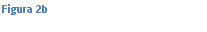 Text Box: Figura 2b